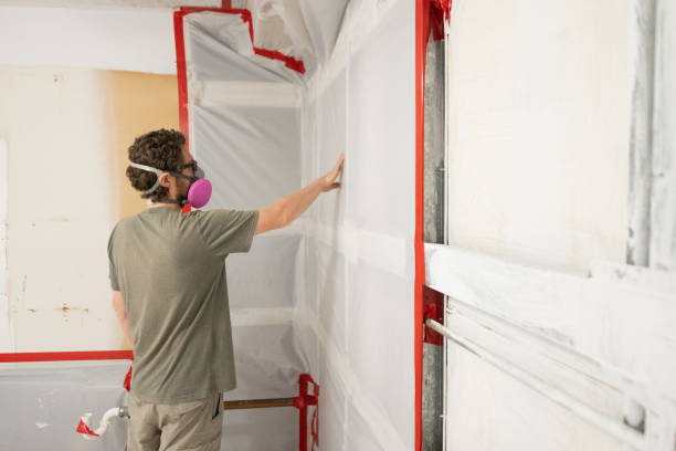 Best Black Mold Removal  in Port Labelle, FL