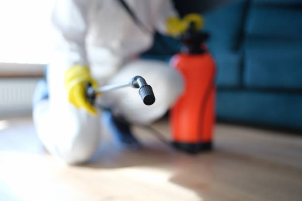 Best Mold Prevention Services  in Port Labelle, FL