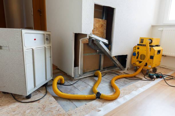 Best Mold Odor Removal Services  in Port Labelle, FL