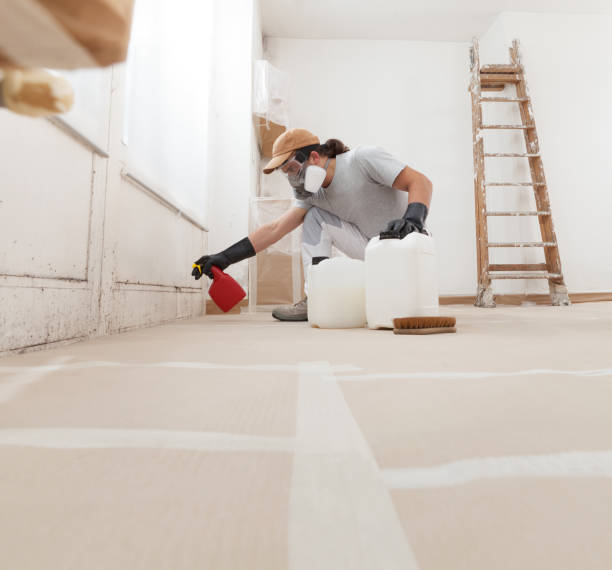 Best Industrial Mold Remediation  in Port Labelle, FL