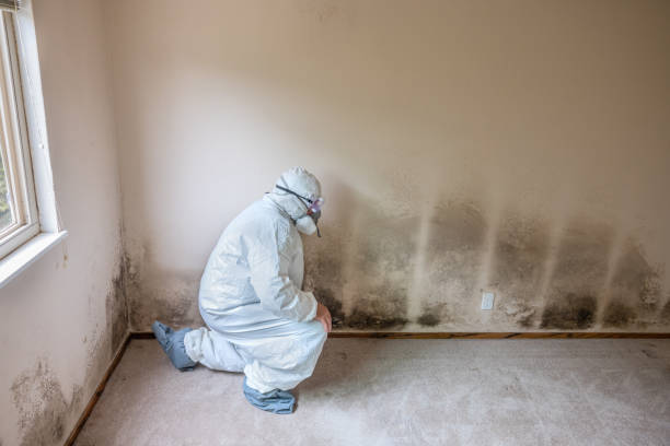 Best Crawl Space Mold Remediation  in Port Labelle, FL